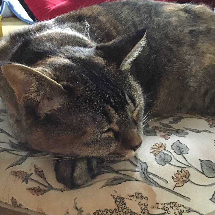 Ee103201 6ff8 4da6 b4e9 d7821c60312f 1755417822692