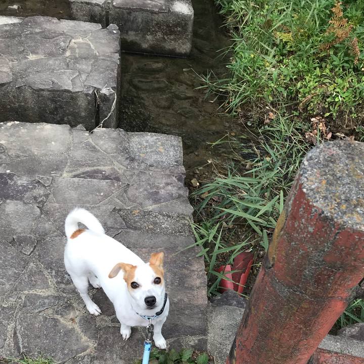 Ee106845 102a 470f b97a bc5d3d7b4749 1575608539875