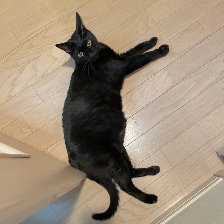 Ee111130 82b3 4662 82aa 0b581577db36 1722257718369