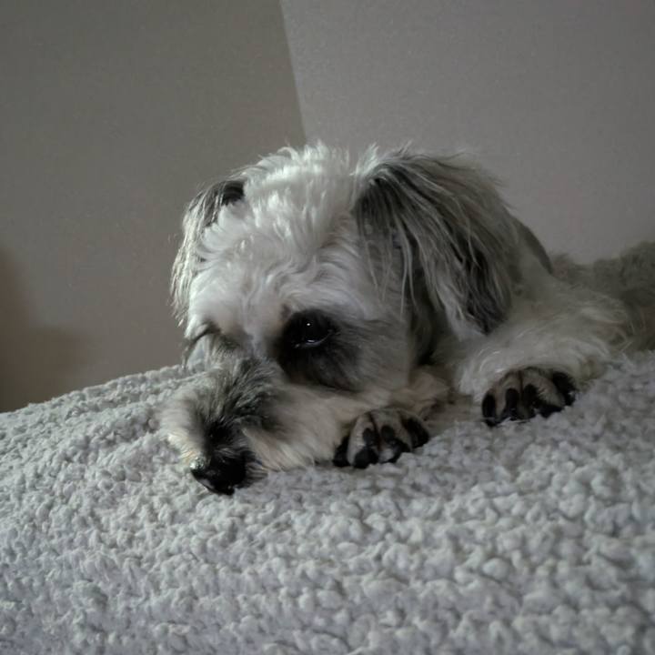 Ee111469 4ee4 4448 8322 f9970d3c0015 1759922821575