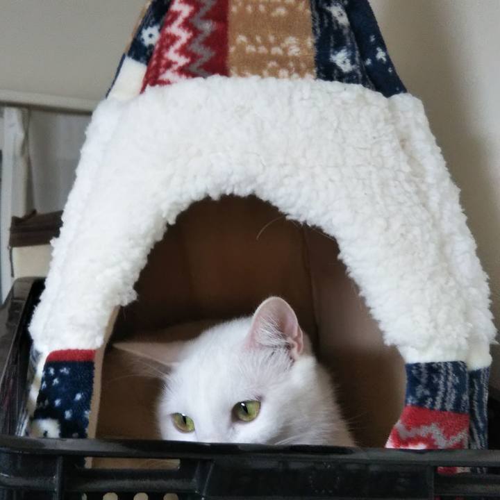 Ee111e84 b0f3 494e ab0f 689beb539410 1639128617632