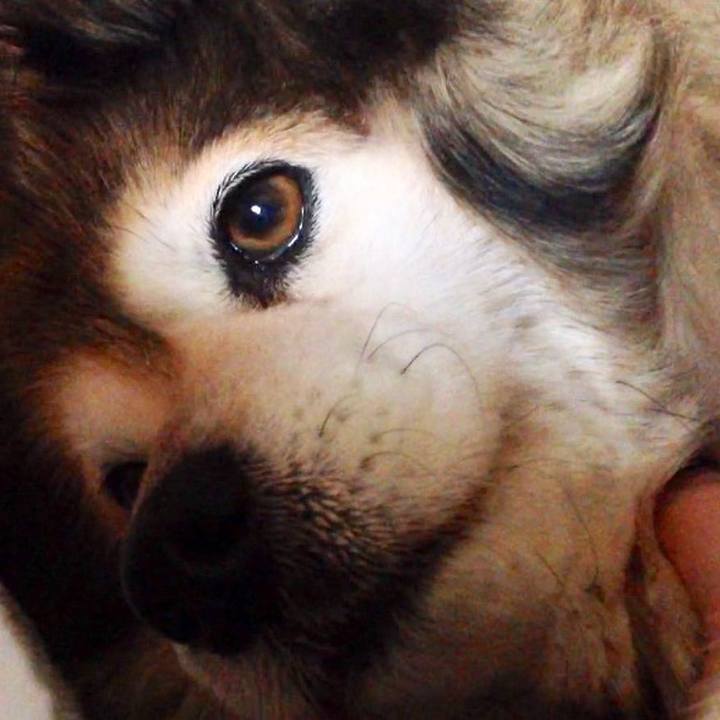 Ee118ebd d733 4e74 809d 6b5726cff8b7 1570516402436