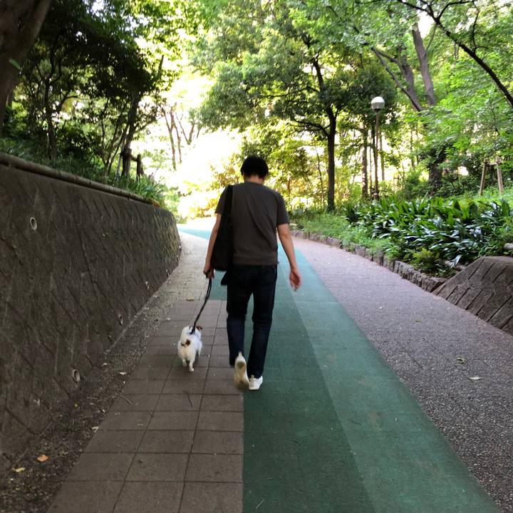 Ee11abe6 4ea2 4cc4 8f0d d620c3246b17 1525507925119