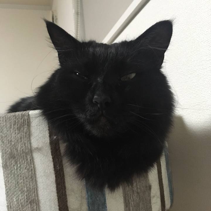 Ee11b70f 4941 4d7c 901a cd4b1955368b 1523550411472