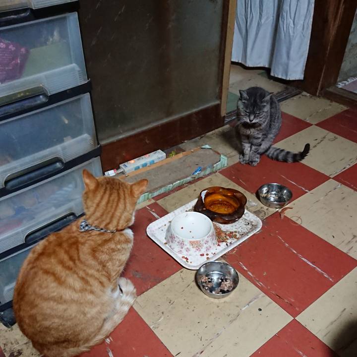 Ee12149f a78f 4719 8f5d c00e40c7569a 1572206174693