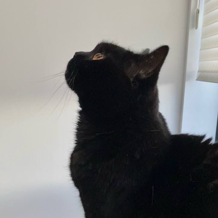 Ee1215d4 cb15 4e21 bd26 369a687709a5 1643616096356