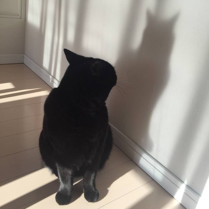 Ee1239b3 6d0a 4b89 bad8 17968da1b7b6 1520404746820