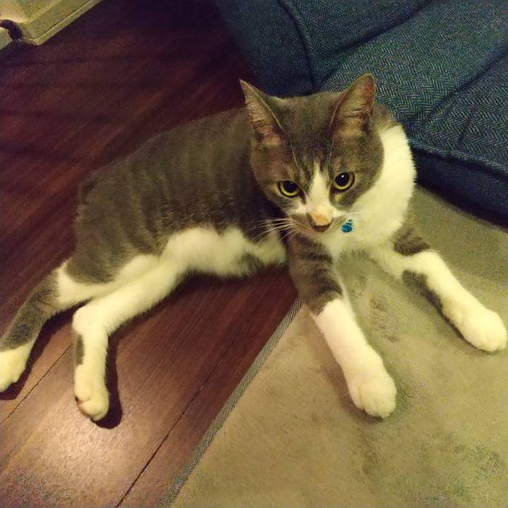 Ee1279f9 142d 4c59 b019 555da62639d3 1598450724575