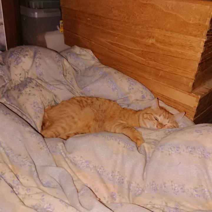 Ee127ec7 962e 4e79 9900 073a5c3914c2 1661204771677