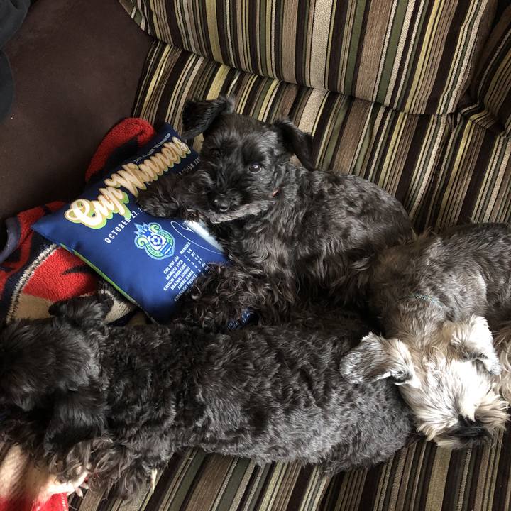 Ee12880a b1ab 40d5 adb1 5e3f2538253a 1586907027484