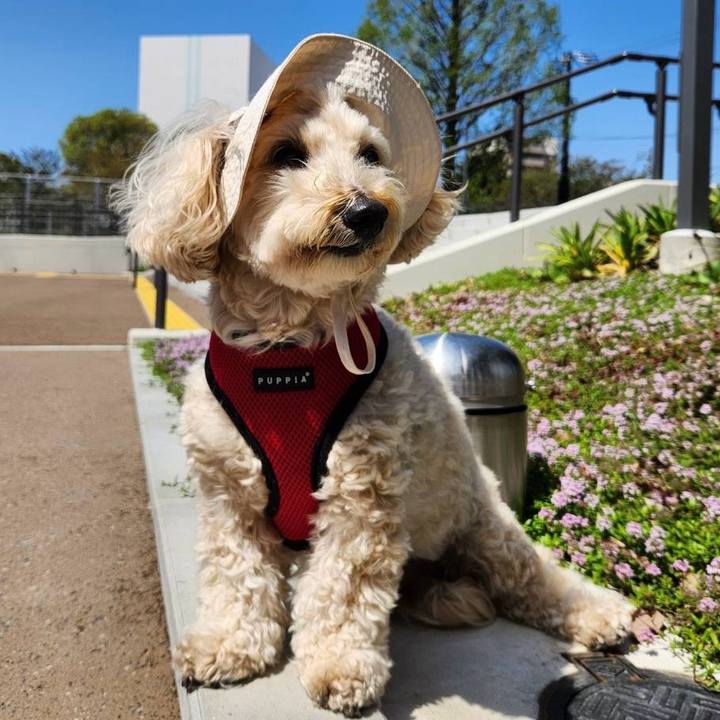 Ee128bc1 f396 460c b8a1 d468cb7daf74 1775898759815