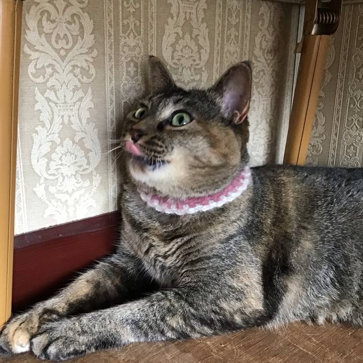 Ee1290de 5eb8 4b9c a224 ae0064a45b36 1691324778634