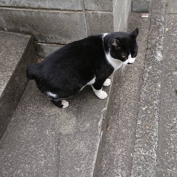 Ee12b13a 8fd4 4481 a6f9 0856e27ade3c 1548480940990