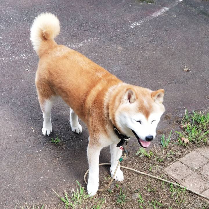 Ee12e083 615c 4c5c 8b67 8ee3efd5073d 1694760754787