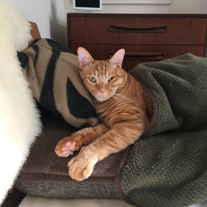 Ee12fdce 4544 4df5 8e6e fdcd7d8c1349 1609852631114