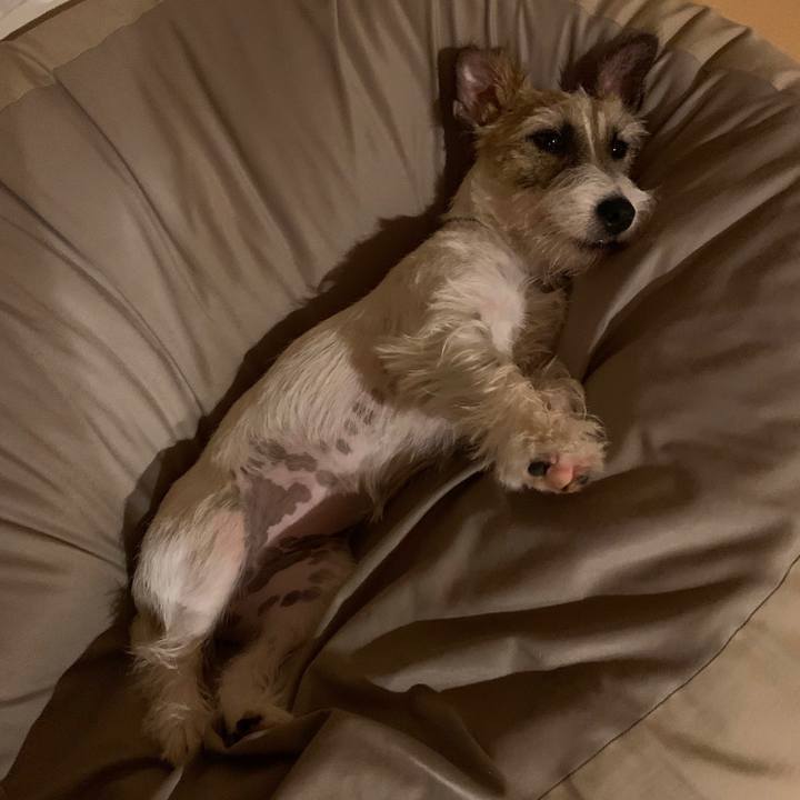 Ee132c83 368a 41d3 ae7e 6357fa0196ce 1594303950283