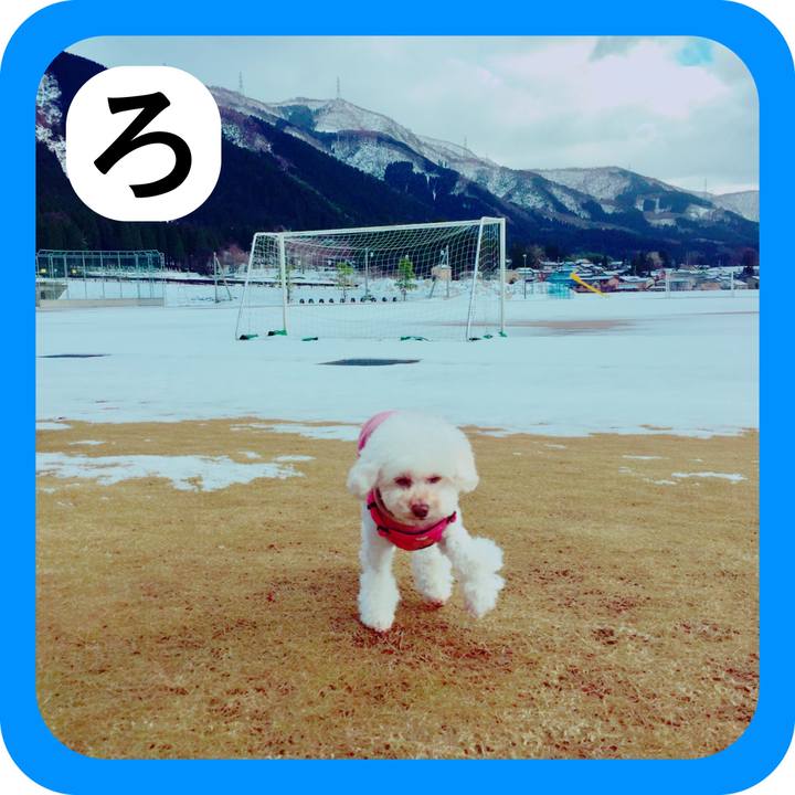 Ee133967 184f 4f69 8ede 5bc50bcb63c6 1514787338676