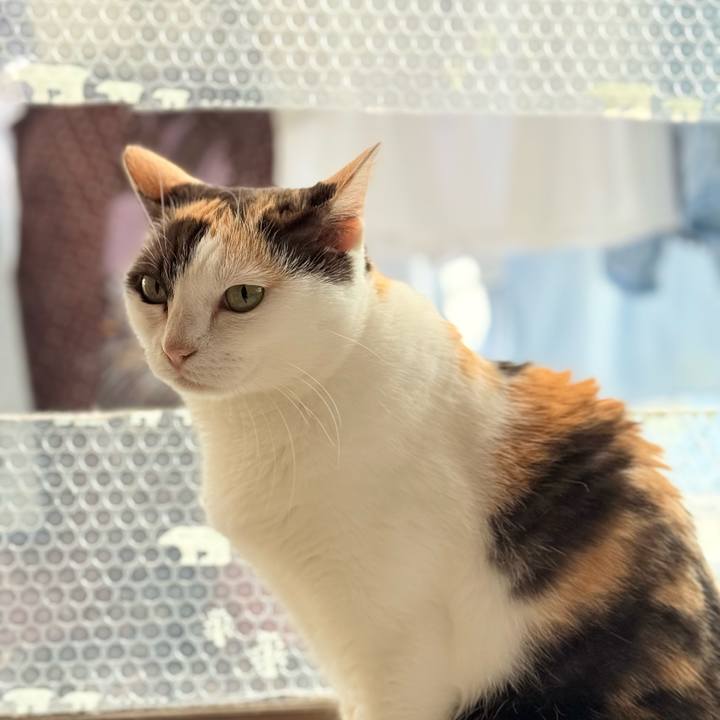 Ee13583f 44ad 47ec 87eb ef9bb3d7742c 1763516097502