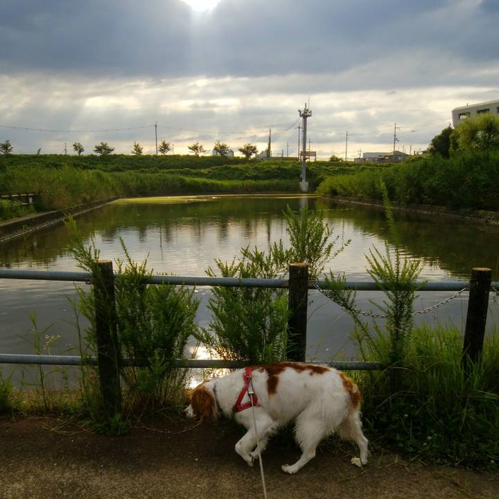 Ee138e1e 30b1 4e97 84c6 54b302af05c3 1563191164001