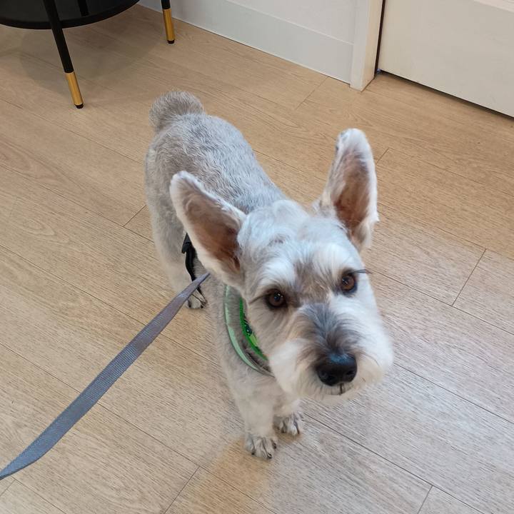 Ee139962 e12f 4245 884a 549e24606737 1763121202703