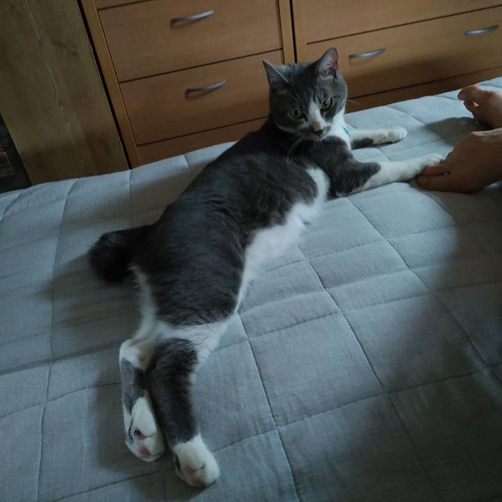 Ee139f11 5b5c 472f a65b 6574247110c6 1594941046633