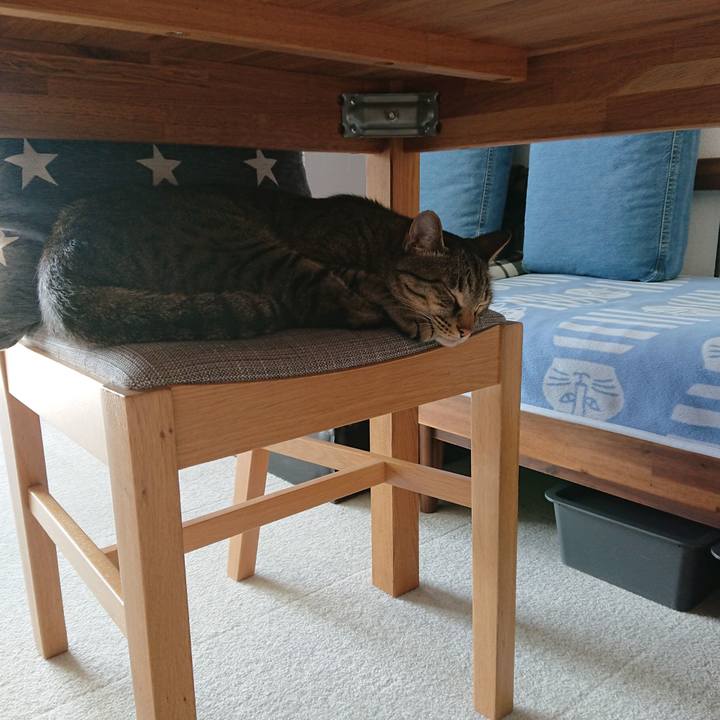 Ee13c262 4d5a 4999 9af1 8b0bda729eac 1558245231495