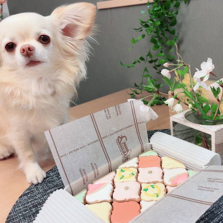 Ee1401a9 a996 46f6 bd4d 874924a9ff43 1712578540491