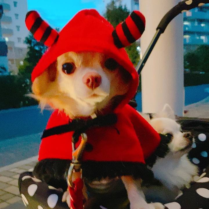 Ee14031c 5055 4551 9ae5 ef3ad7afcf5a 1635322490730