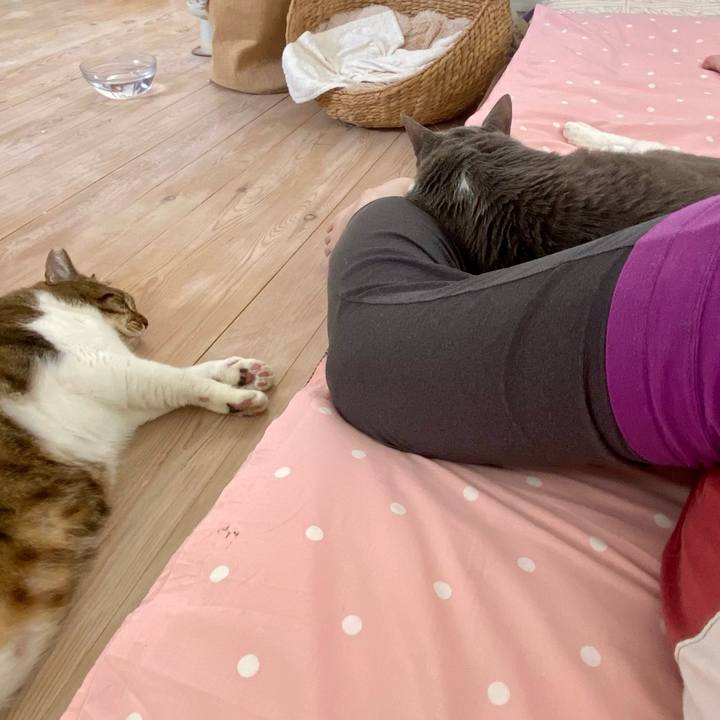 Ee144711 71d8 4dad 8c50 21e5f08d6408 1760335814203