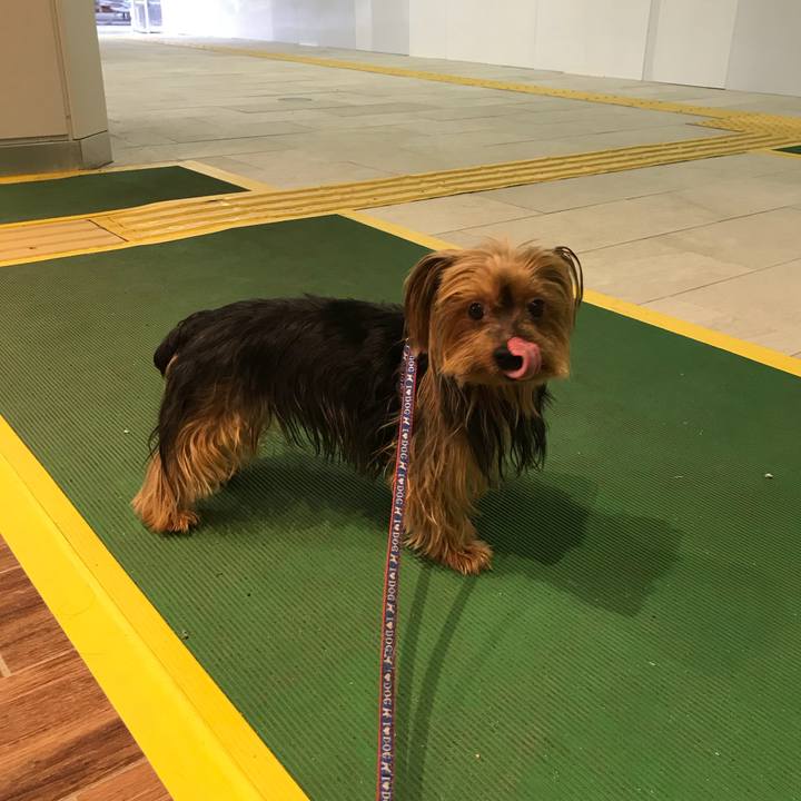 Ee147da4 86b4 41d6 aad4 9c1ce93472f3 1531472409654