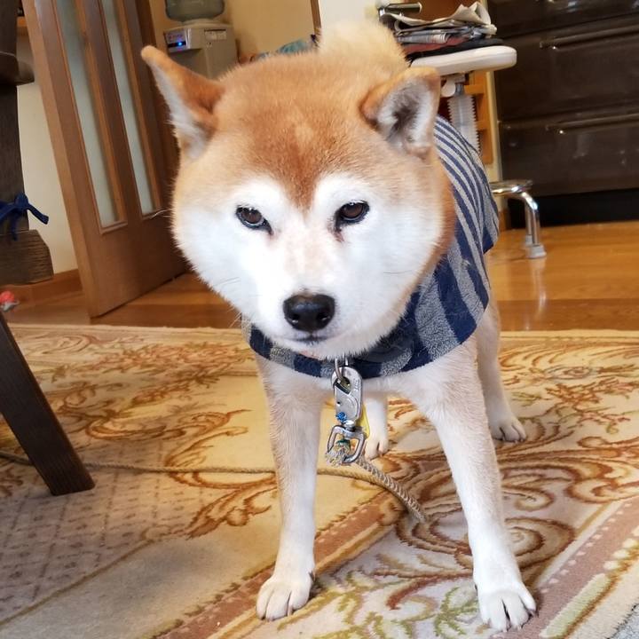 Ee148689 e34f 4cf2 b319 1ed981fe8649 1579309802060