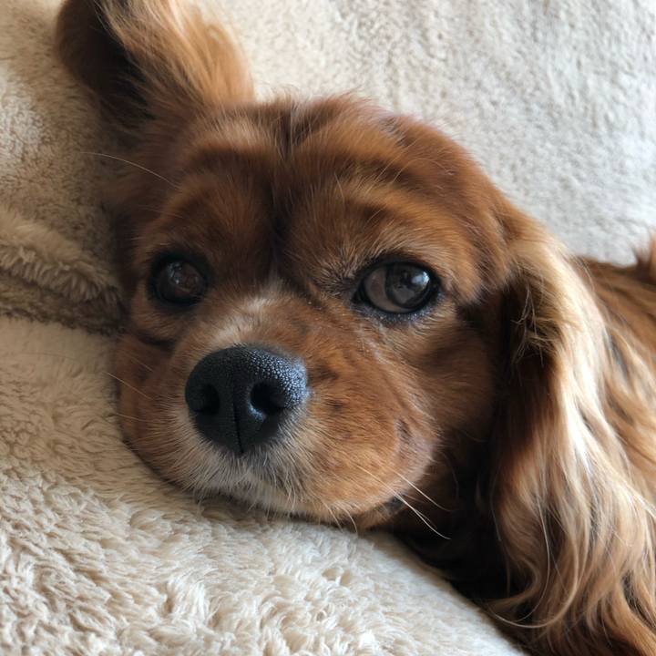 Ee149e54 35c9 4812 973c cb03db0bf04d 1612968647093