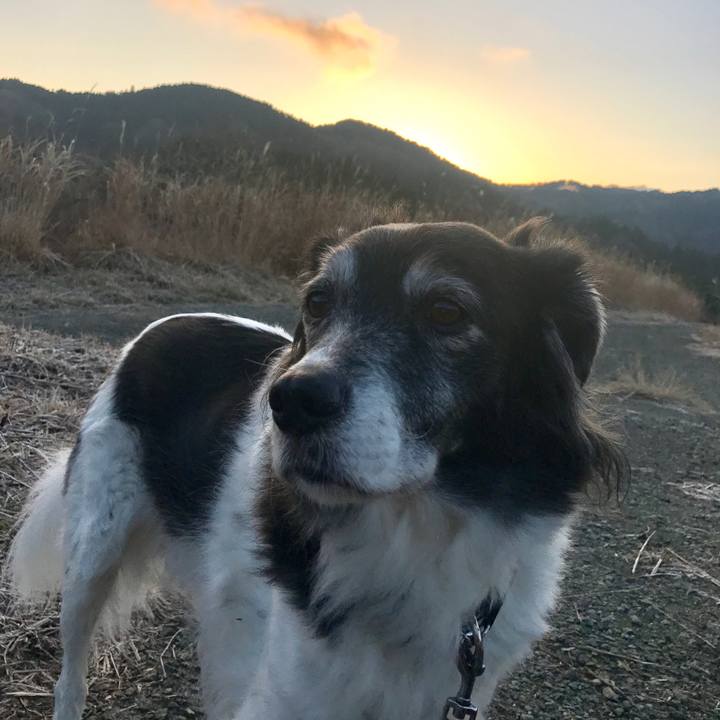 Ee14b7bc 3c87 42f3 b670 cfe8b7e10f10 1546303008935