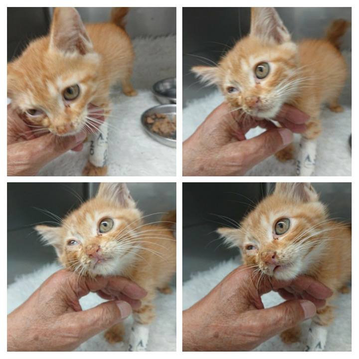 Ee14ccee 856b 43f7 a375 5072a329de45 1627639468846