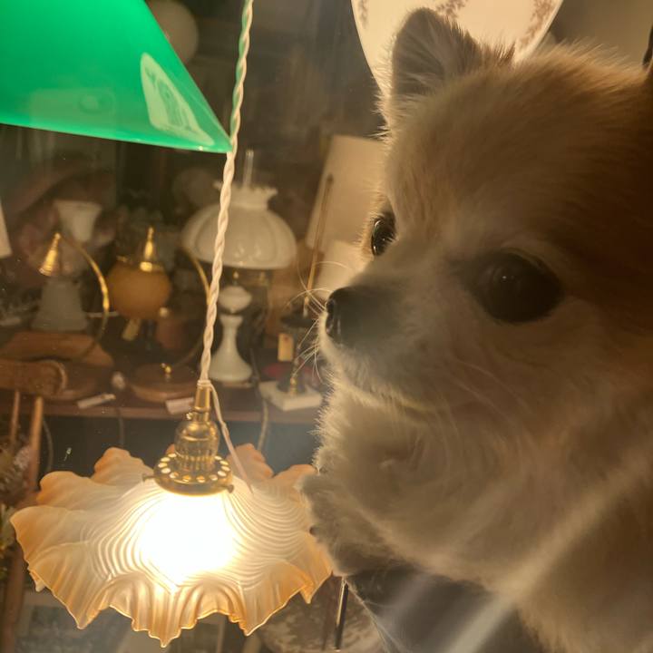 Ee152de6 9aa6 48de b161 3e929f02d53e 1762356657082