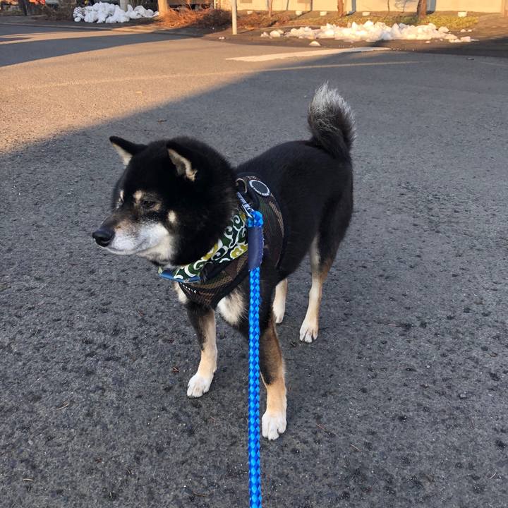 Ee152e3d 8451 44aa b42f 80b68d39ca55 1554594339250