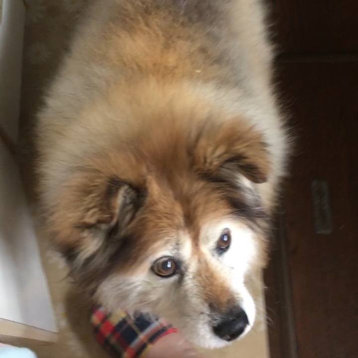 Ee15518e d7c7 4e95 abc0 97a16467a6c8 1562918891940