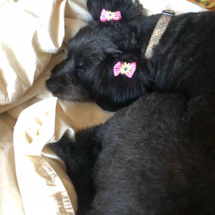 Ee159637 f0f1 44d0 8bd0 7ecb44969b6b 1537349822112