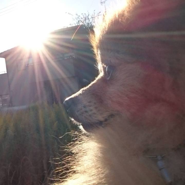 Ee159884 68fd 4a96 8da3 1ec4035c57f7 1508229712481