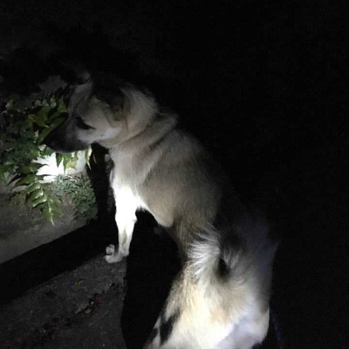 Ee15fc2a 3ce4 4794 b0b5 932f5054a569 1510310747521