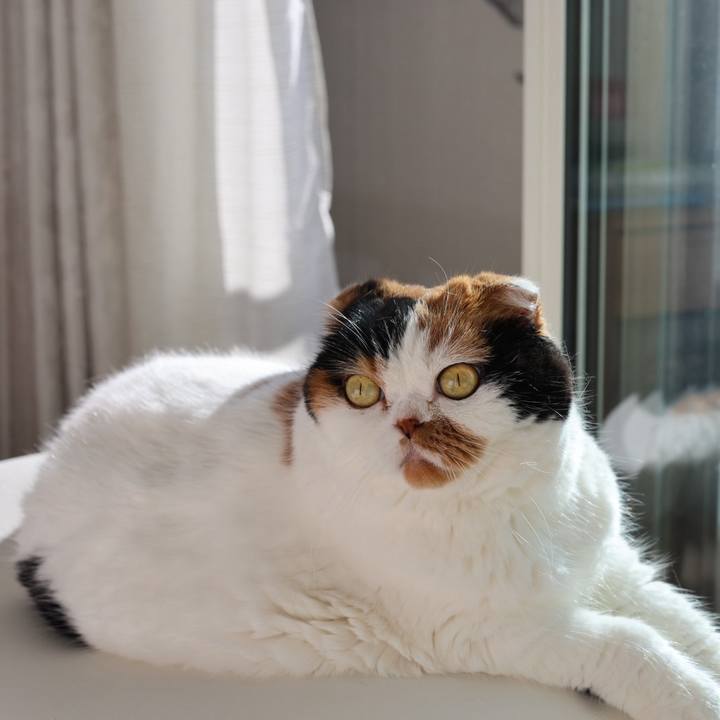 Ee161a1c 1a45 45bb 888a 471310f79987 1697888110329