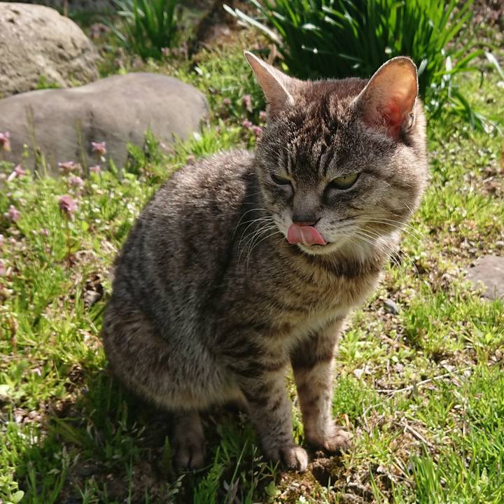 Ee162652 78db 4346 b29f 9cf7fb71bd68 1556515031364