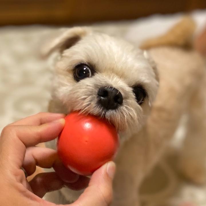 Ee162d0b 5cc1 4e19 bff4 e74b33bd4d9b 1572517156110