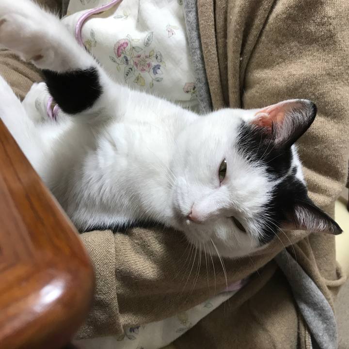 Ee165469 5c5f 4912 ae64 773155b2bafa 1540728502861