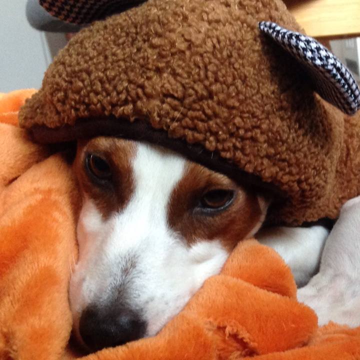 Ee167c5e 27bd 4438 8f25 3aa3b81b5b05 1518427237102