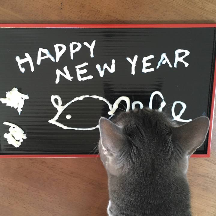 Ee16f399 595d 4209 908c 2230ec83172f 1577840338191