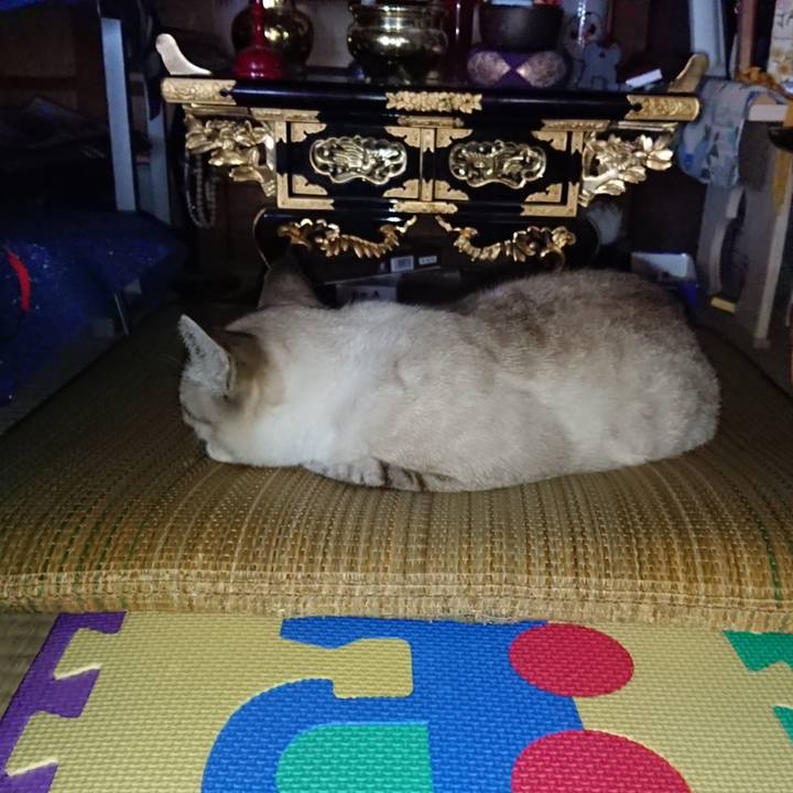 Ee174f51 68d6 4f49 880a 20053d156c61 1566702012071