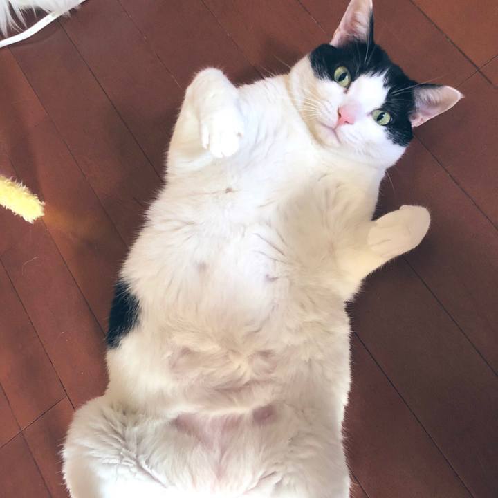 Ee17821d b5b9 456c 8634 1d0516913521 1547350695168