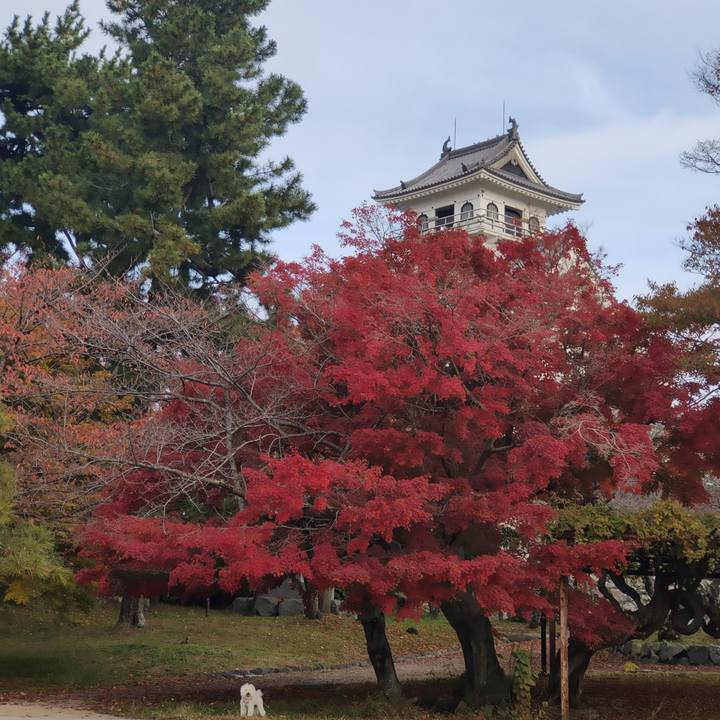 Ee178d0a ed96 4f9e a84a 27a17070f3fc 1763882821084