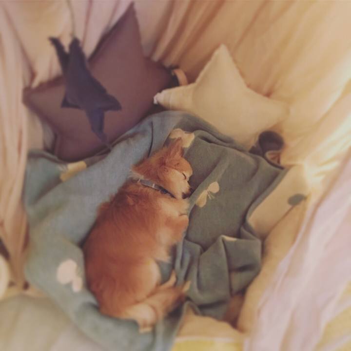 Ee178f7f c1ff 4f8d 88d4 88d80424982d 1528483357495